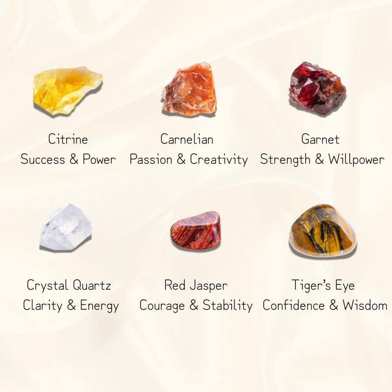 Leo Energy Kit