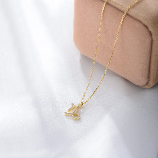 Capricorn Necklace